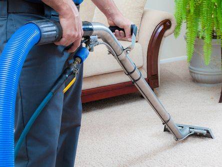 Carpet Steam cleaning cleanhaus